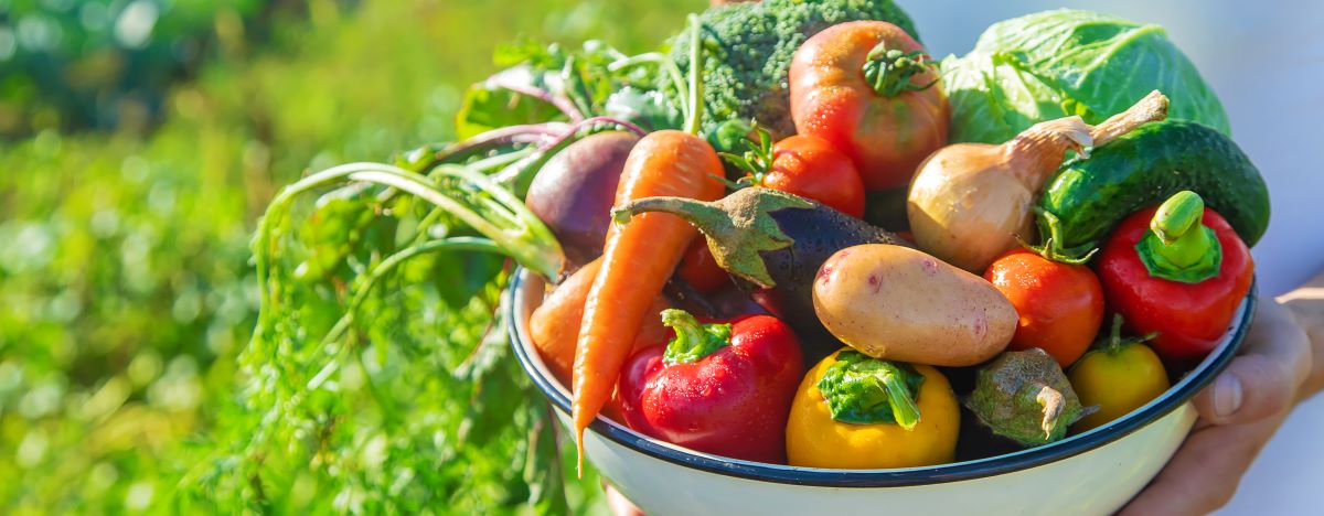 Saisonkalender: Obst & Gemüse regional & frisch