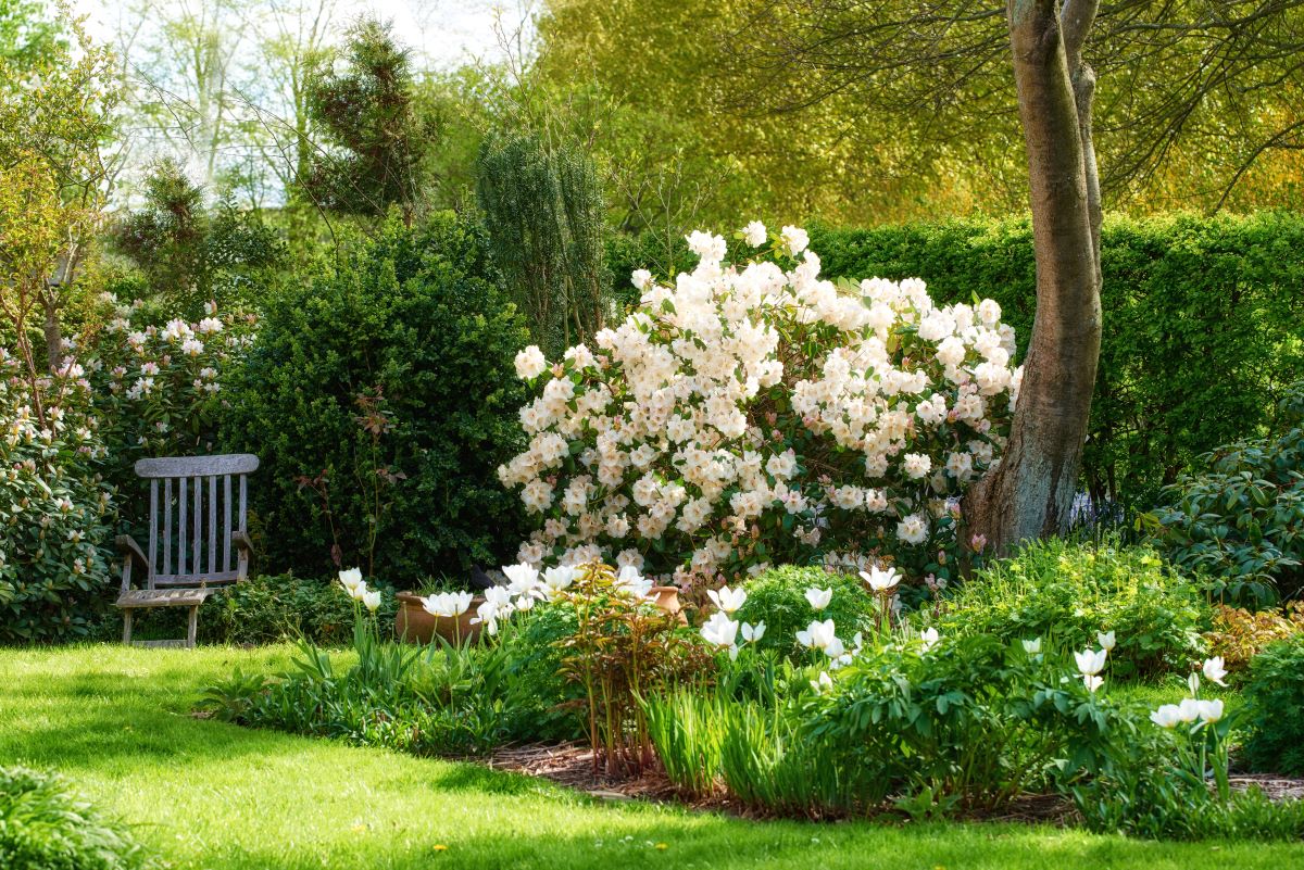 Ruhe im eigenen Garten — dein privater Rückzugsort im Hohenl