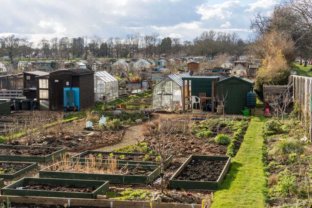 Schrebergarten im Hohenlohekreis — Pacht, Regeln und was du 
